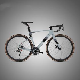Fully Hidden Carbon Fiber Disc Brake Road Car Variable Speed Sports Racing (Option: Cement ash-54cm)